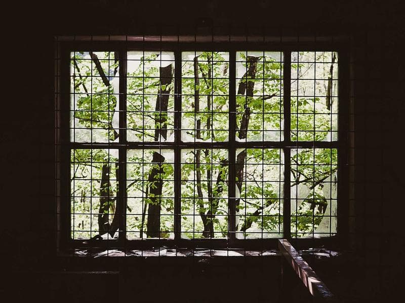 Plan Nutrition Équilibré